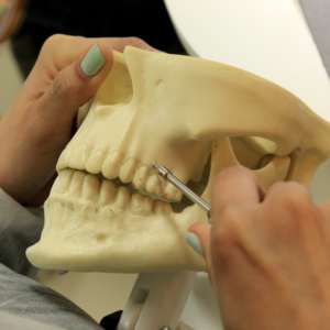 curso-imersao-em-mini-implantes-ortodonticos-4